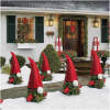 Afbeelding van Elf decoratieset voor thuja plant - vilt, rood - 60 x 39 cm 1 Stuks [58734] - 01 58734 web