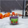 Afbeelding van Geurkaars - "winterbes" - 120 g 1 Stuks [58802D] - 01 58802D web