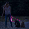 Afbeelding van Lijn met LED - met batterij - 120 x 2,5 cm - roze 1 Stuks [60026B] - 01 60026B web