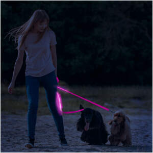 Afbeelding van Lijn met LED - met batterij - 120 x 2,5 cm - roze 1 Stuks [60026B] - 01 60026B web