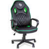 Afbeelding van Gamerstoel met armleuning - zwart / groen - 71 x 53 cm / 53 x 47 cm 1 Stuks [BMD1116GR] - 01 BMD1116GR web