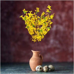 Afbeelding van Paasdecoratie - forsythia - geel 1 Stuks [CMK-9296] - 01 CMK 9296 web