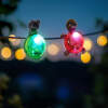 Afbeelding van Zonnedecoratie met clips - schildpad, bij, slak, lieveheersbeestje - 10 x 6 x 14 cm - witte LED 1 Stuks