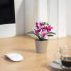 Afbeelding van Kunstplantdecoratie - in pot - 6 x 17 cm - 4 soorten 1 Stuks [11829] - 02 11829 web