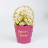 Afbeelding van Kunstplant decoratie - bloem - 11 x 18 cm - 4 soorten 1 Stuks [11842] - 02 11842 web