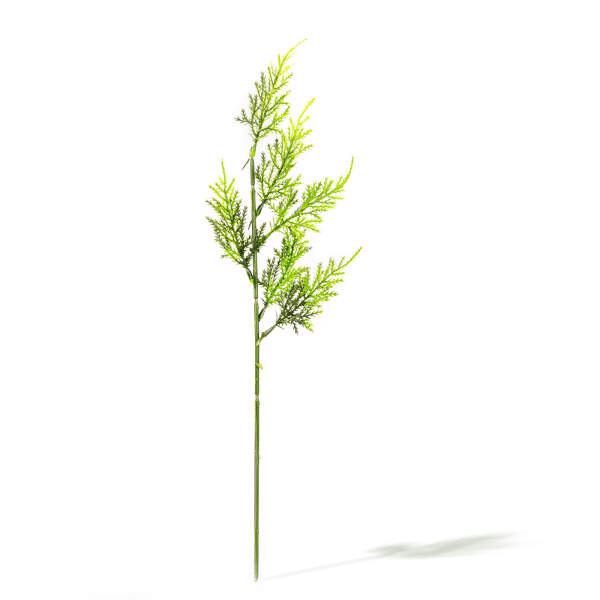 Afbeelding van Kunstplant decoratie - gestoken - groen - 9 x 45 cm 1 Stuks [11848] - 02 11848 web