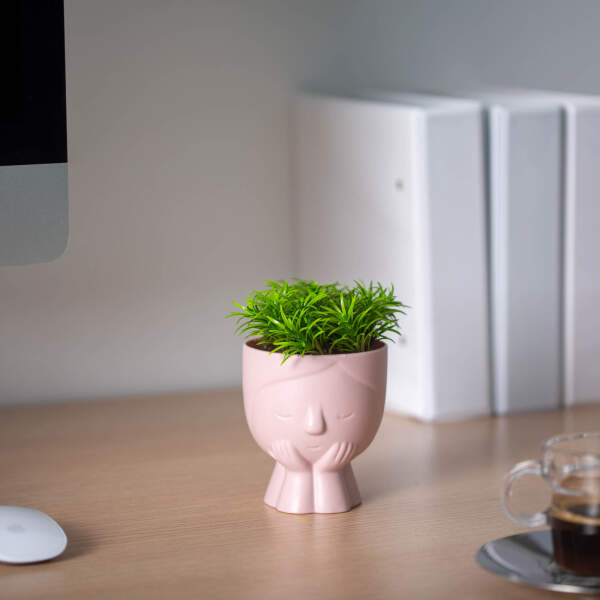 Afbeelding van Kunstmatige plantendecoratie - mensenhoofd - 9 x 14 cm - 4 soorten 1 Stuks [11850] - 02 11850 web
