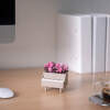 Afbeelding van Kunstplant decoratie - piano - 8 x 9 cm - 4 soorten 1 Stuks [11855] - 02 11855 web