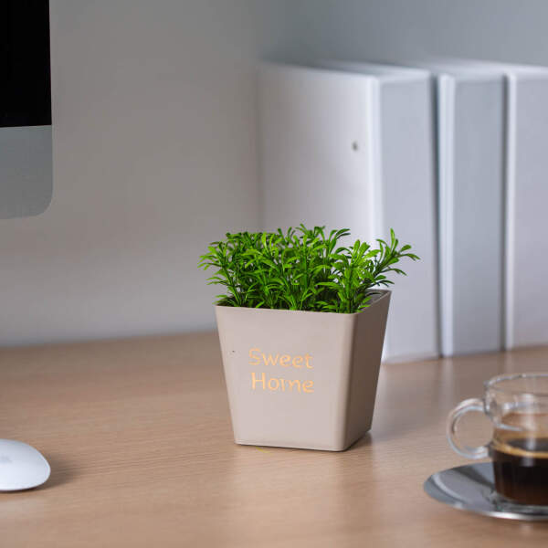 Afbeelding van Kunstplantendecoratie - bloempot - 10 x 16 cm - 3 soorten 1 Stuks [11862] - 02 11862 web