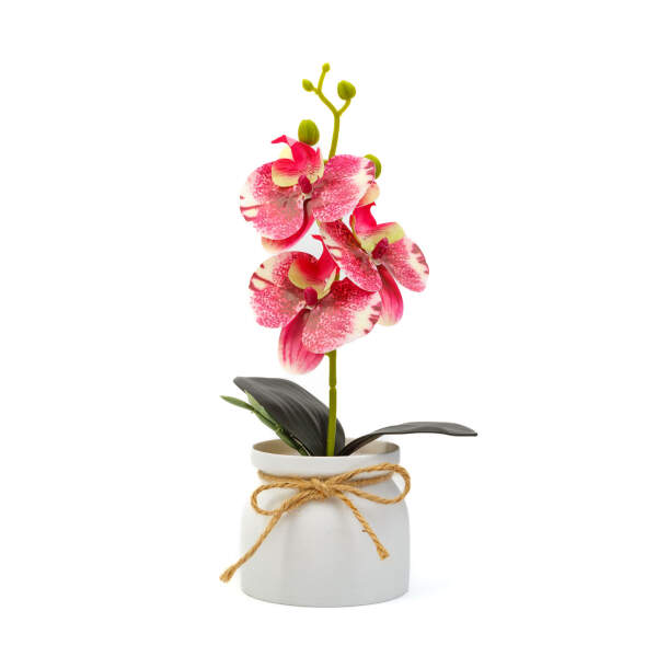 Afbeelding van Kunstplant Decoratie - Orchidee - roze - 20 x 9 cm 1 Stuks [11889A] - 02 11889A web