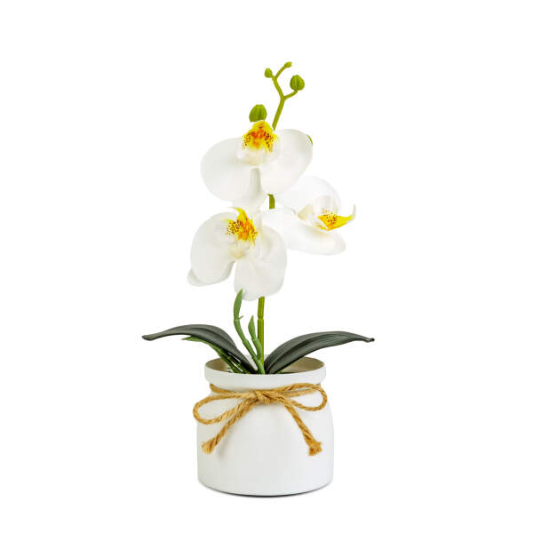 Afbeelding van Kunstplant decoratie - orchidee - wit - 20 x 9 cm 1 Stuks [11889B] - 02 11889B web