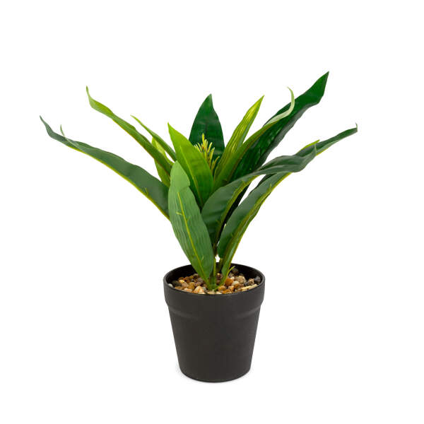 Afbeelding van Kunstplantendecoratie - groene saffraanboom - 20 x 8,5 cm 1 Stuks [11891A] - 02 11891A web