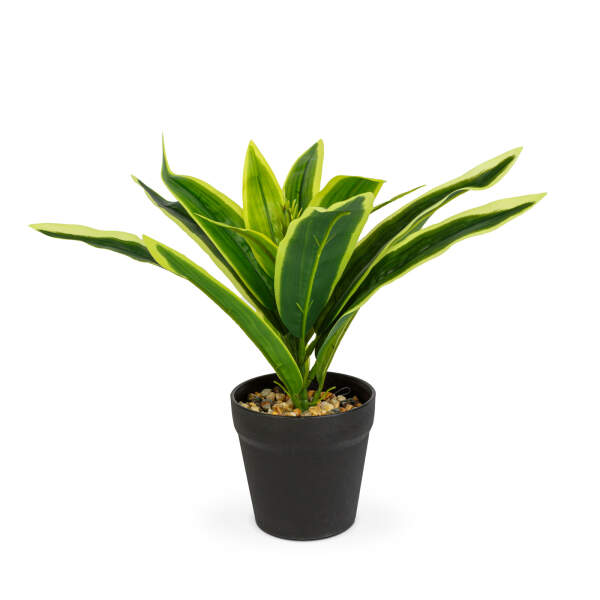Afbeelding van Kunstplantendecoratie - gestreepte saffraanboom - 20 x 8,5 cm 1 Stuks [11891B] - 02 11891B web