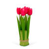 Afbeelding van Kunstplant decoratie - tulp - rood - 26 x 6,5 cm 1 Stuks [11897A] - 02 11897A web