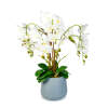 Afbeelding van Kunstplant Decoratie - Orchidee - Wit - 83 cm 1 Stuks [11899B] - 02 11899B web