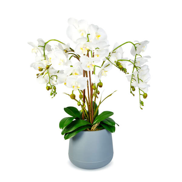 Afbeelding van Kunstplant Decoratie - Orchidee - Wit - 83 cm 1 Stuks [11899B] - 02 11899B web