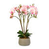 Afbeelding van Kunstplant decoratie - orchidee - roze - 58 cm 1 Stuks [11900A] - 02 11900A web
