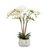 Afbeelding van Kunstplant decoratie - orchidee - wit - 58 cm 1 Stuks [11900B] - 02 11900B web