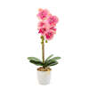 Afbeelding van Kunstplant Decoratie - Orchidee - Roze - 48 cm 1 Stuks [11901A] - 02 11901A web