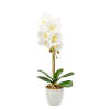Afbeelding van Kunstplant Decoratie - Orchidee - Wit - 48 cm 1 Stuks [11901B] - 02 11901B web