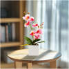Afbeelding van Kunstplantdecoratie – orchidee – 3 soorten – 37 cm 1 Stuks [11902] - 02 11902 web