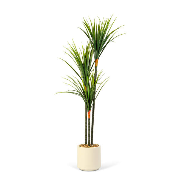 Afbeelding van Kunstplant Decoratie - Dracaena Marginata - Groen - 1,2 m 1 Stuks [11903] - 02 11903 web