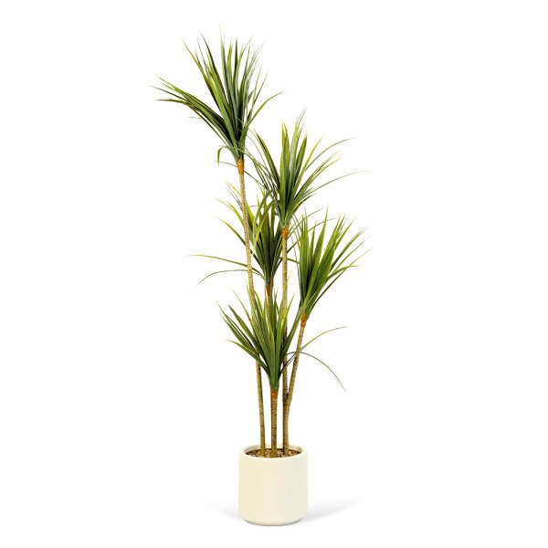 Afbeelding van Kunstplant Decoratie - Palm - Groen - 1,5 m 1 Stuks [11904] - 02 11904 web