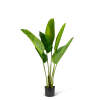Afbeelding van Kunstplantdecoratie - Bananenbladboom - Groen - 1,2 m 1 Stuks [11905A] - 02 11905A web