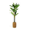 Afbeelding van Kunstplantdecoratie - Dracaena Fragrans - 1,1-1,2 m 1 Stuks [11906] - 02 11906 web