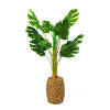 Afbeelding van Kunstmatige Plantendecoratie - Philodendron - 1 m 1 Stuks [11907] - 02 11907 web