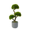 Afbeelding van Kunstmatige Plantendecoratie - Bonsai - 55 x 27 cm 1 Stuks [11909] - 02 11909 web