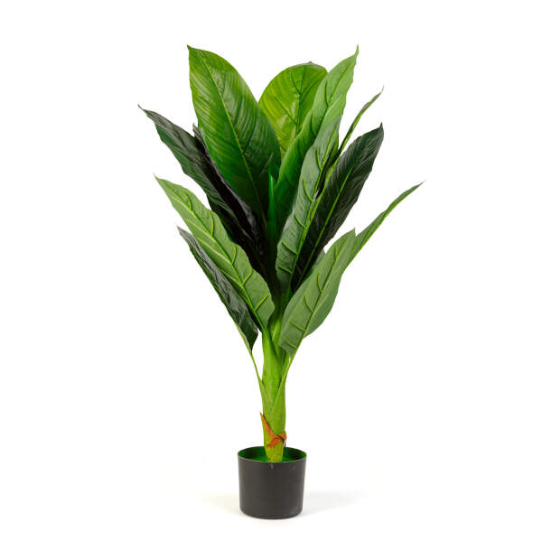 Afbeelding van Kunstplantdecoratie - Colocasia - 100 cm 1 Stuks [11911] - 02 11911 web