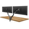 Afbeelding van Dubbele LCD-monitorarm - hendel, telescopisch - tafelmontage - 62 cm, 30" 1 Stuks [39684] - 02 39684 web