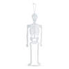 Afbeelding van Halloween fosforescerende decoratie - skelet - 32 x 11 cm 1 Stuks [56545A] - 02 56545A web