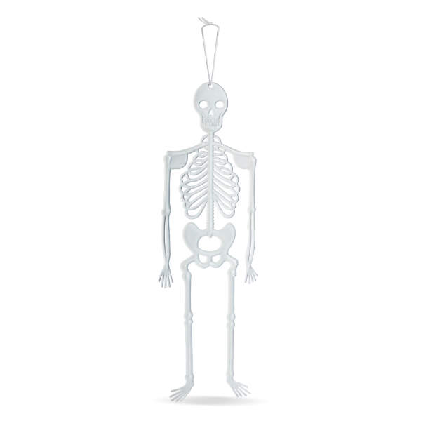 Afbeelding van Halloween fosforescerende decoratie - skelet - 32 x 11 cm 1 Stuks [56545A] - 02 56545A web