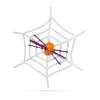 Afbeelding van Spinnenweb met spin - Halloween decoratie - wit 1 Stuks [58101] - 02 58101 web