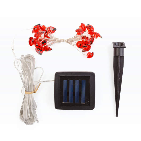 Afbeelding van Solar LED lichtsnoer - lieveheersbeestje - 2,4 m - 25 LED - warm wit 1 Stuks [58220B] - 02 58220B web