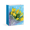 Afbeelding van Cadeauzakje - papier - 178 x 102 x 228 mm - 4 soorten / verpakking 12 Stuks [58311] - 02 58311 web