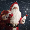 Afbeelding van Kerstbel 1 Stuks [58645A] - 02 58645A web