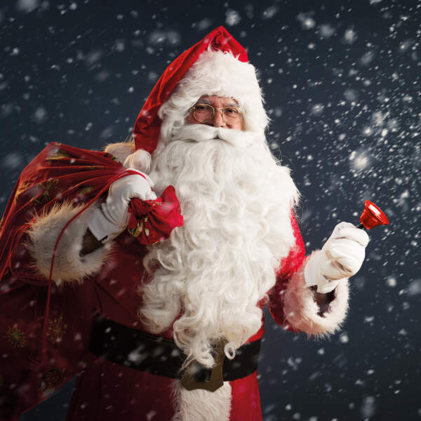Afbeelding van Kerstbel 1 Stuks [58645A] - 02 58645A web