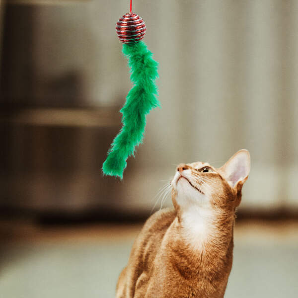 Afbeelding van Kerstkatten speelgoed - 2 soorten 1 Stuks [58648] - 02 58648 web