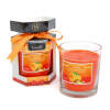 Afbeelding van Geurkaars - sinaasappel & gember - 120 g 1 Stuks [58802A] - 02 58802A web