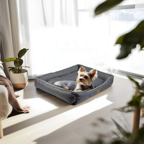 Afbeelding van Hondenbed - 68 x 45 x 11 cm - grijs 1 Stuks [60045C] - 02 60045C web
