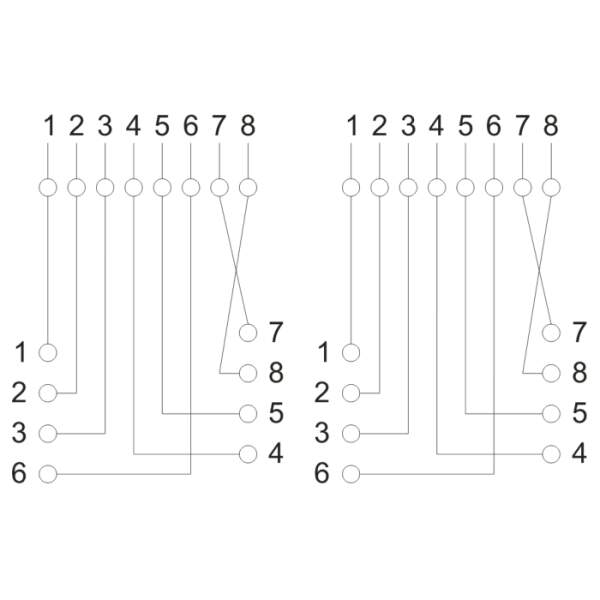 Afbeelding van Dubbele wandcontactdoos - dubbel, 8P8C UTP Cat.5 1 Stuks [05385] - 03 05385 draw