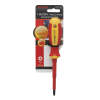 Afbeelding van Schroevendraaier - PH2 x 6 x 100 mm - 1000V 1 Stuks [10569] - 03 10569 web