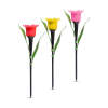 Afbeelding van LED solar tulp - geel / rood / roze - 31 cm - 24 stuks / display 1 Stuks [11750] - 03 11750 web