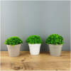 Afbeelding van Kunstplantdecoratie - in pot - 12 x 13 cm 1 Stuks [11822] - 03 11822 web