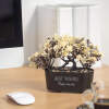 Afbeelding van Kunstplant decoratie - bonsai - 19 x 13 cm - 4 soorten 1 Stuks [11825] - 03 11825 web