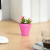 Afbeelding van Kunstplantdecoratie - in pot - 6 x 10 cm - 5 soorten 1 Stuks [11836] - 03 11836 web
