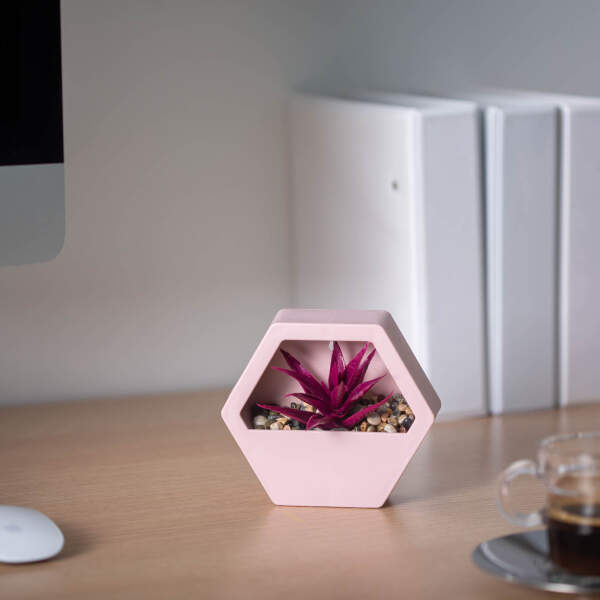 Afbeelding van Kunstplantendecoratie - wand - 13 x 12 cm - 4 soorten 1 Stuks [11837] - 03 11837 web